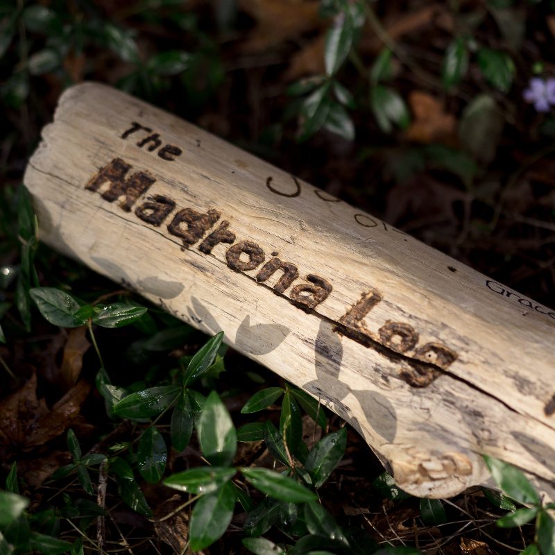 Log surrounded by green foliage with "The Madrona Log" branded onto the log.
